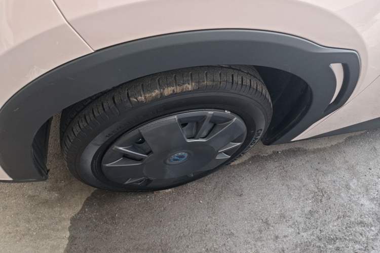 Used BYD Seagull 2025 305km Active Version Exterior 4