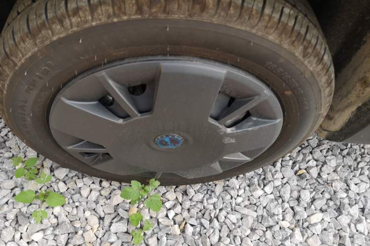 Used BYD Seagull 2025 Intelligent Driving Version 305 km Dynamic Edition Exterior 5