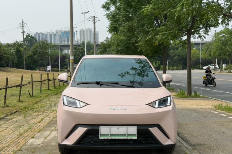 Used BYD Seagull 2025 305 km Free Version Exterior 5