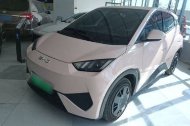 Used BYD Seagull 2025 305km Active Version