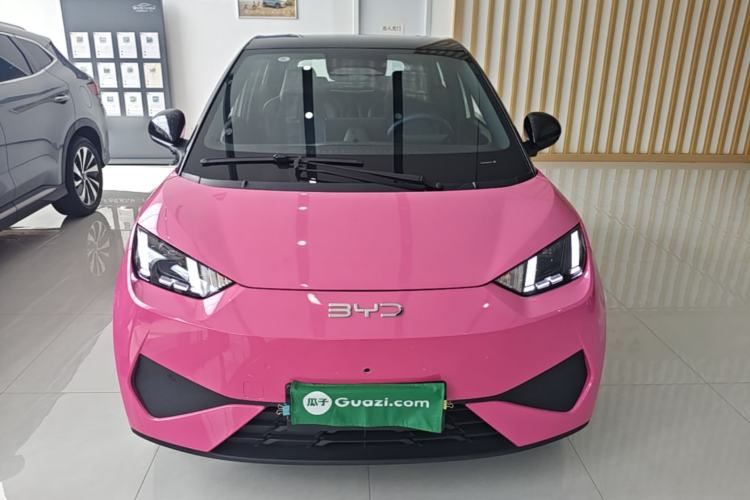 Used BYD Seagull 2025 Smart Drive Version 305 km Freedom Edition Front