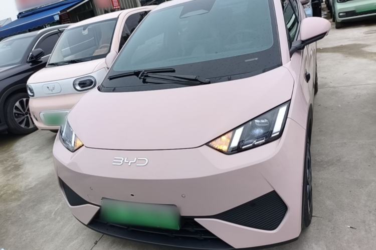 Used BYD Seagull 2025 Smart Drive Version 305 km Freedom Edition Front