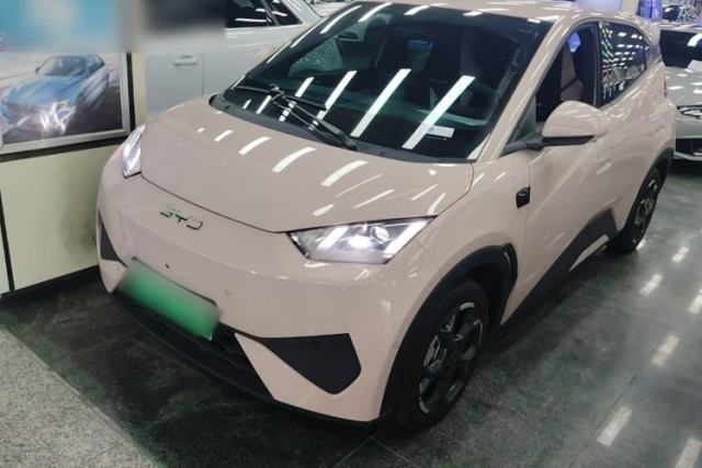 Used BYD Seagull 2025 Smart Drive Version 305 km Freedom Edition