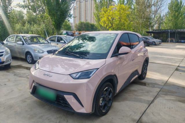 Used BYD Seagull 2025 305 km Free Version