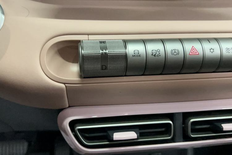 Used BYD Seagull 2025 305 km Free Version Gear Lever
