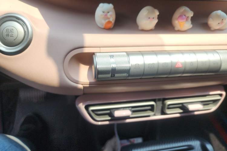 Used BYD Seagull 2025 405 km Flying Edition Gear Lever