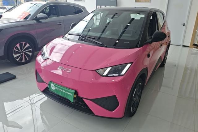 Used BYD Seagull 2025 Smart Drive Version 305 km Freedom Edition