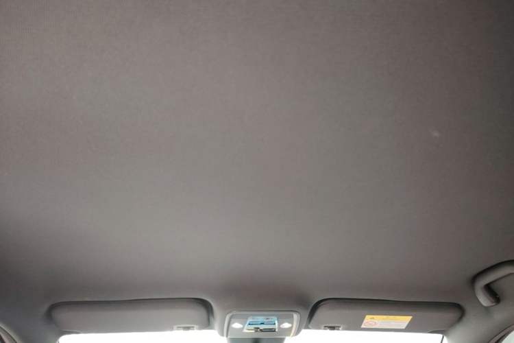Used BYD Seagull 2025 Intelligent Driving Version 305 km Dynamic Edition Headliner