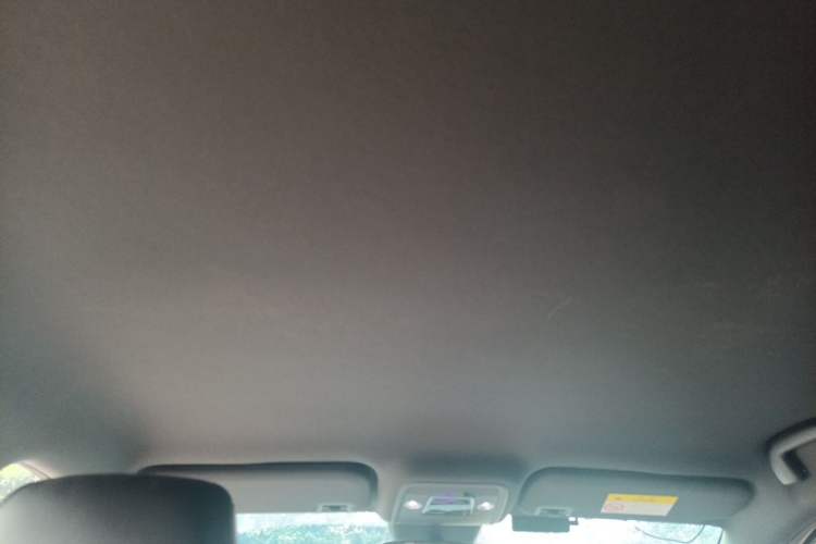 Used BYD Seagull 2025 Intelligent Driving Version 305 km Dynamic Edition Headliner