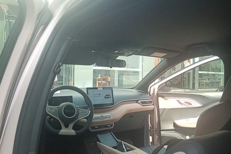 Used BYD Seagull 2025 Intelligent Driving Version 305 km Dynamic Edition Headliner