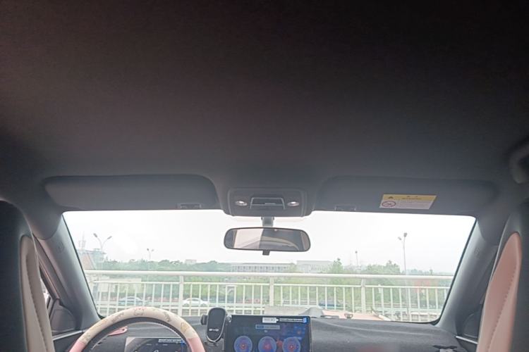 Used BYD Seagull 2025 305 km Free Version Headliner