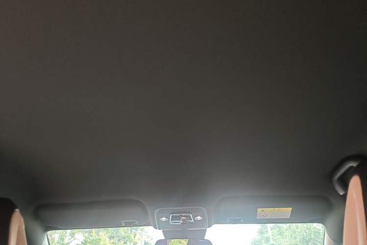 Used BYD Seagull 2025 Intelligent Driving Version 305 km Dynamic Edition Headliner