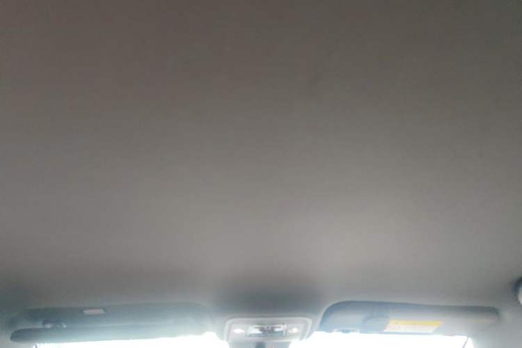 Used BYD Seagull 2025 Intelligent Driving Version 305 km Dynamic Edition Headliner