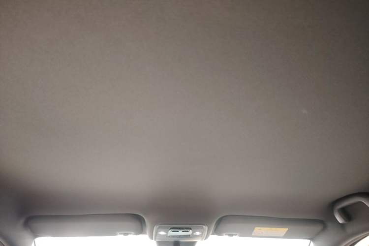 Used BYD Seagull 2025 Intelligent Driving Version 305 km Dynamic Edition Headliner