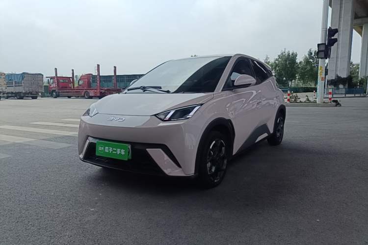 Used BYD Seagull 2025 305 km Free Version Guazi used car, China used car export, Used car for sale, Used  cars, Cheapest cars for sale