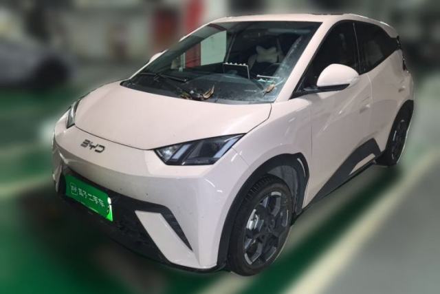 Used BYD Seagull 2025 305 km Free Version