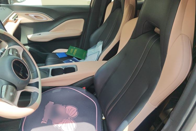 Used BYD Seagull 2025 305km Active Version Left Front Seat