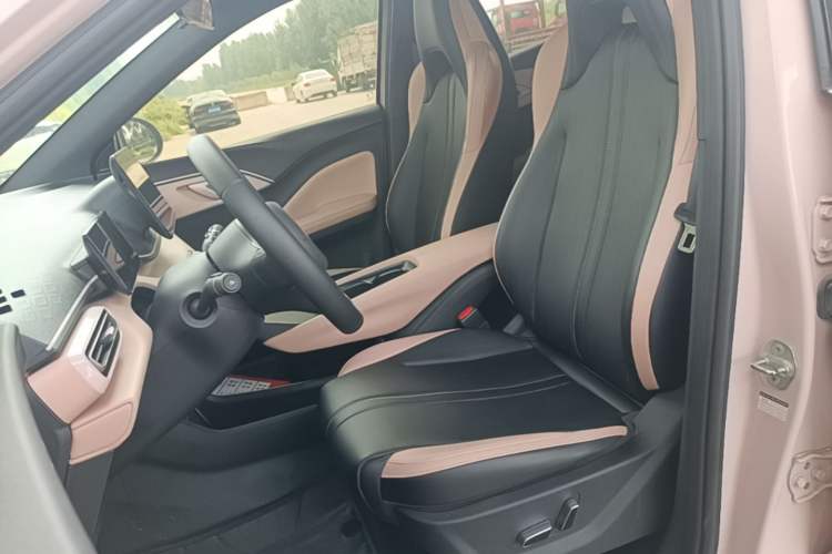 Used BYD Seagull 2025 305 km Free Version Left Front Seat