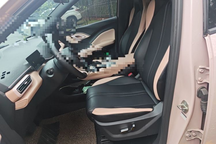 Used BYD Seagull 2025 305 km Free Version Left Front Seat