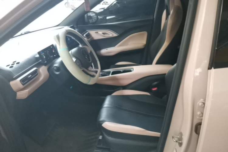 Used BYD Seagull 2025 305km Active Version Left Front Seat
