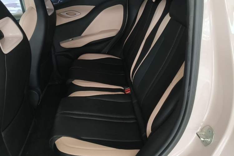 Used BYD Seagull 2025 Smart Drive Version 305 km Freedom Edition Left Rear Seat