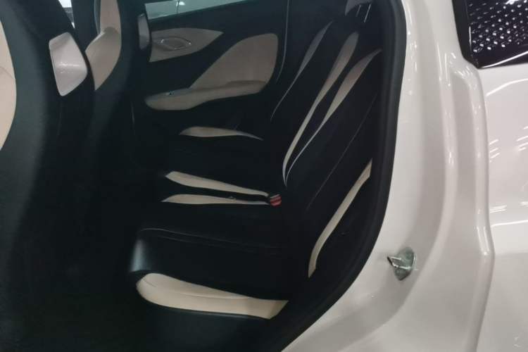 Used BYD Seagull 2025 305 km Free Version Left Rear Seat