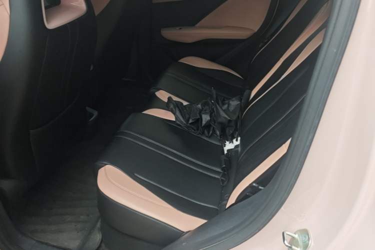 Used BYD Seagull 2025 305 km Free Version Left Rear Seat