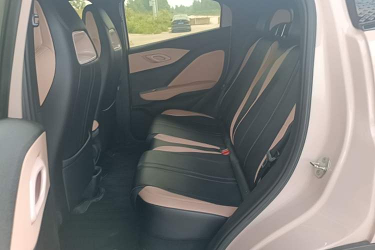 Used BYD Seagull 2025 305 km Free Version Left Rear Seat