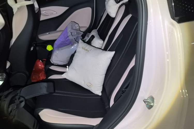 Used BYD Seagull 2025 305 km Free Version Left Rear Seat
