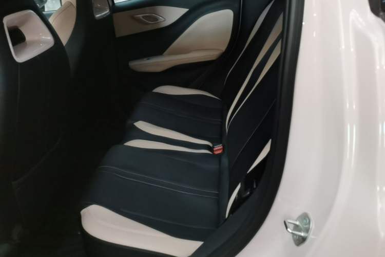 Used BYD Seagull 2025 305 km Free Version Left Rear Seat