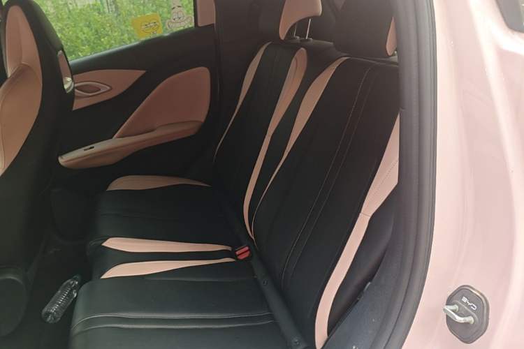 Used BYD Seagull 2025 Intelligent Driving Version 305 km Dynamic Edition Left Rear Seat