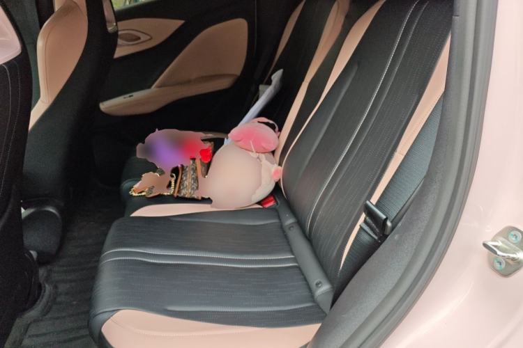 Used BYD Seagull 2025 305km Active Version Left Rear Seat
