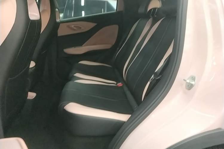 Used BYD Seagull 2025 305km Active Version Left Rear Seat