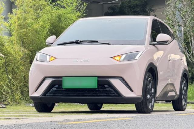 Used BYD Seagull 2025 305 km Free Version