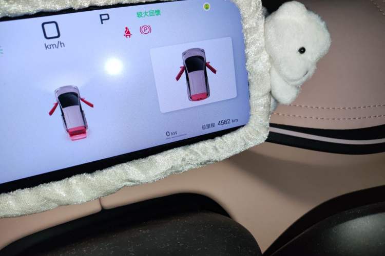 Used BYD Seagull 2025 Intelligent Driving Version 405 km Flying Edition Odometer Close Up