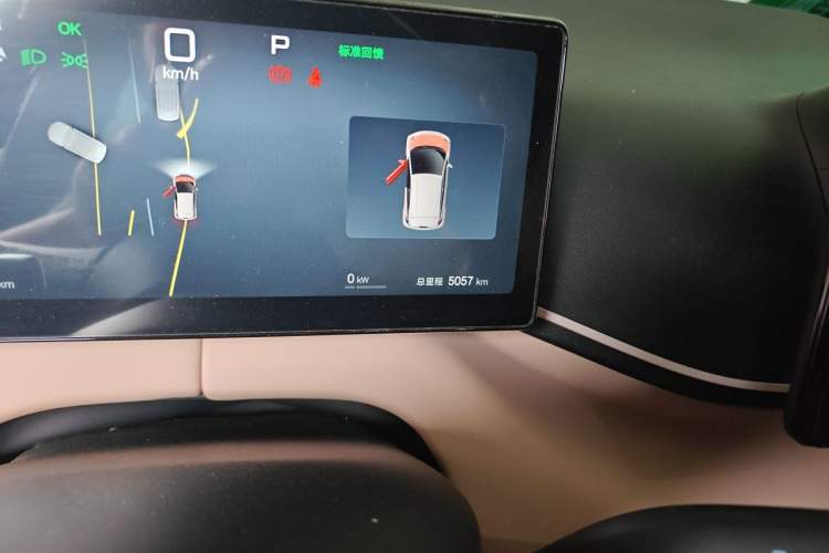 Used BYD Seagull 2025 Smart Drive Version 305 km Freedom Edition Odometer Close Up