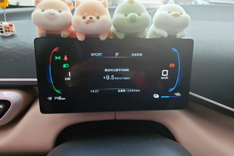 Used BYD Seagull 2025 Intelligent Driving Version 305 km Dynamic Edition Odometer Close Up