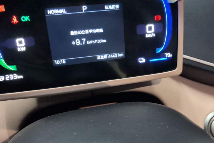 Used BYD Seagull 2025 305 km Free Version Odometer Close Up