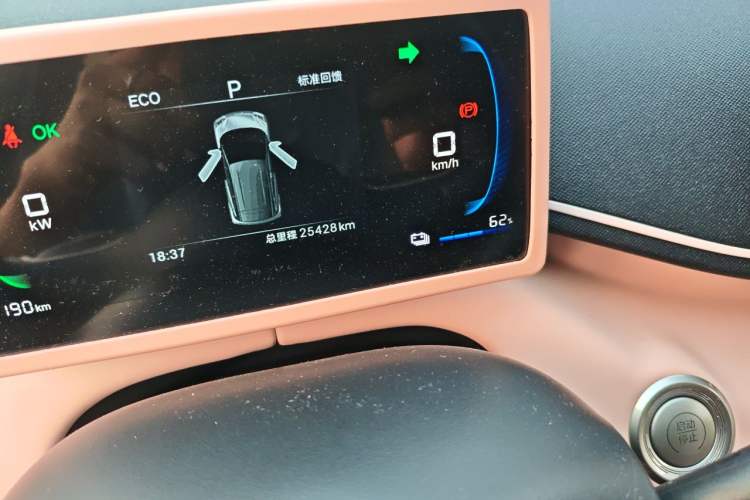 Used BYD Seagull 2025 305 km Free Version Odometer Close Up