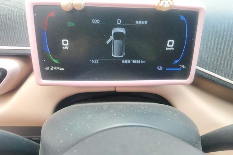 Used BYD Seagull 2025 Intelligent Driving Version 305 km Dynamic Edition Odometer Close Up