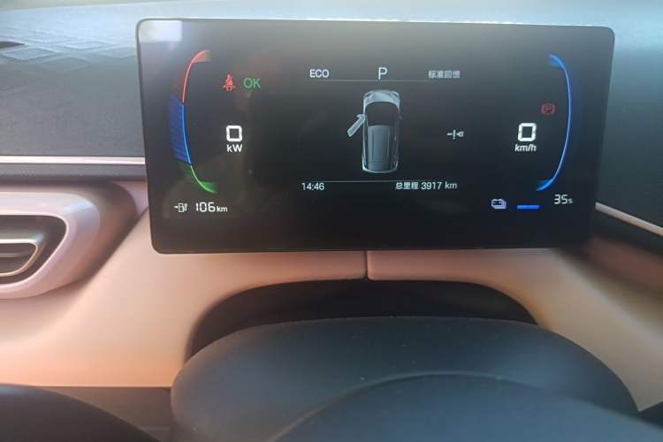 Used BYD Seagull 2025 Intelligent Driving Version 305 km Dynamic Edition Odometer Close Up