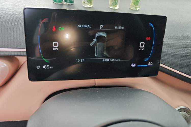 Used BYD Seagull 2025 305km Active Version Odometer Close Up
