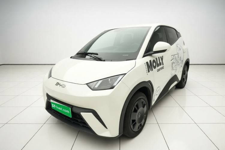 BYD Seagull 2025 305km Active Version