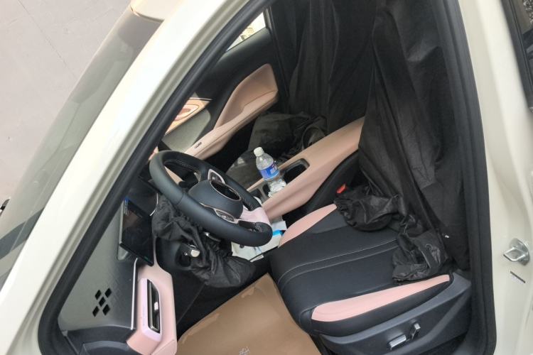 Used BYD Seagull 2025 Smart Drive Version 305 km Freedom Edition Left Front Seat
