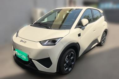Used BYD Seagull 2025 Smart Drive Version 305 km Freedom Edition