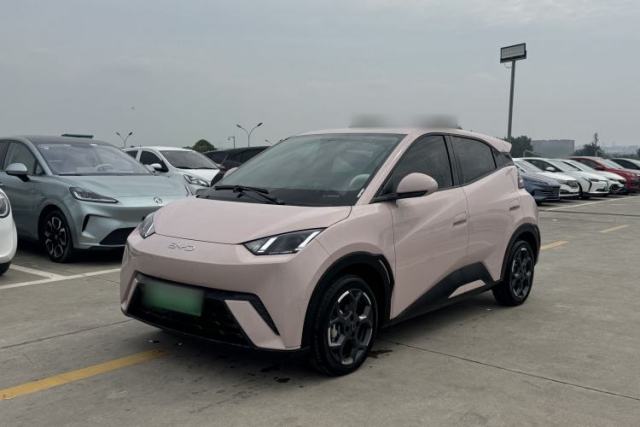 Used BYD Seagull 2025 305 km Free Version