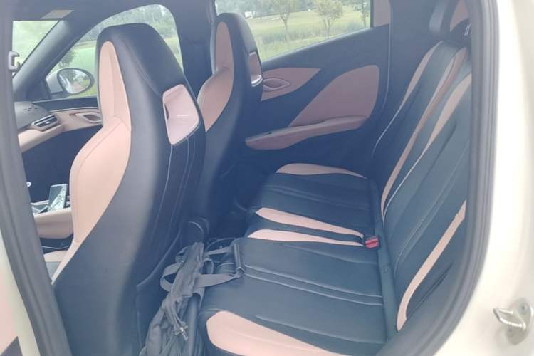 Used BYD Seagull 2025 305 km Free Version Left Rear Seat