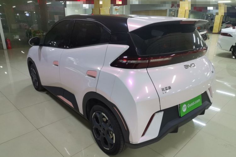 Used BYD Seagull 2025 305 km Free Version Left Side