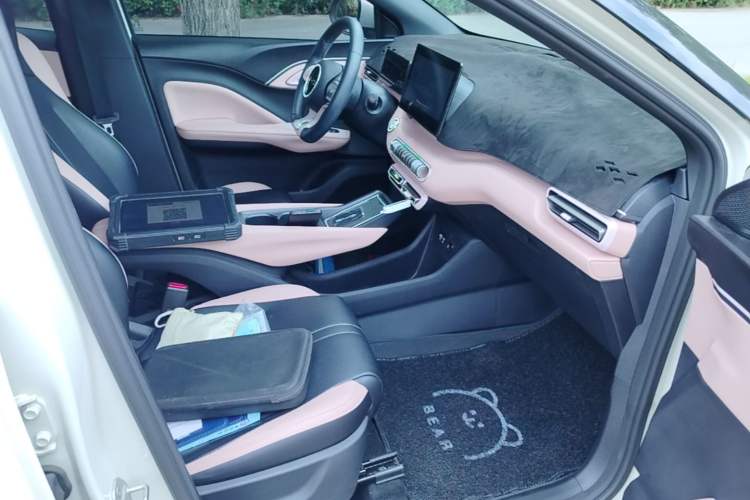 Used BYD Seagull 2025 305 km Free Version Right Front Seat