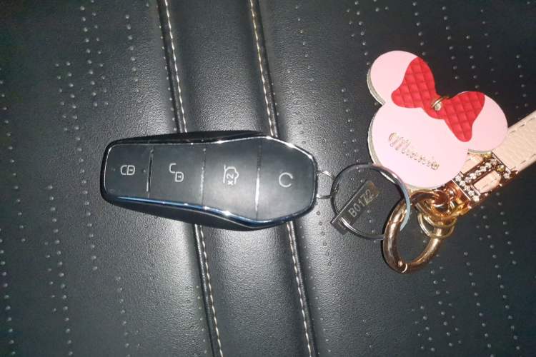 Used BYD Seagull 2025 305 km Free Version Vehicle Key